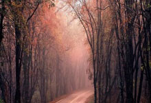 Nine Games赛地聚焦：全明星赛今晚热度飙升，浙江稠州完成体检，目标明确，身体对抗强度拉满的简单介绍