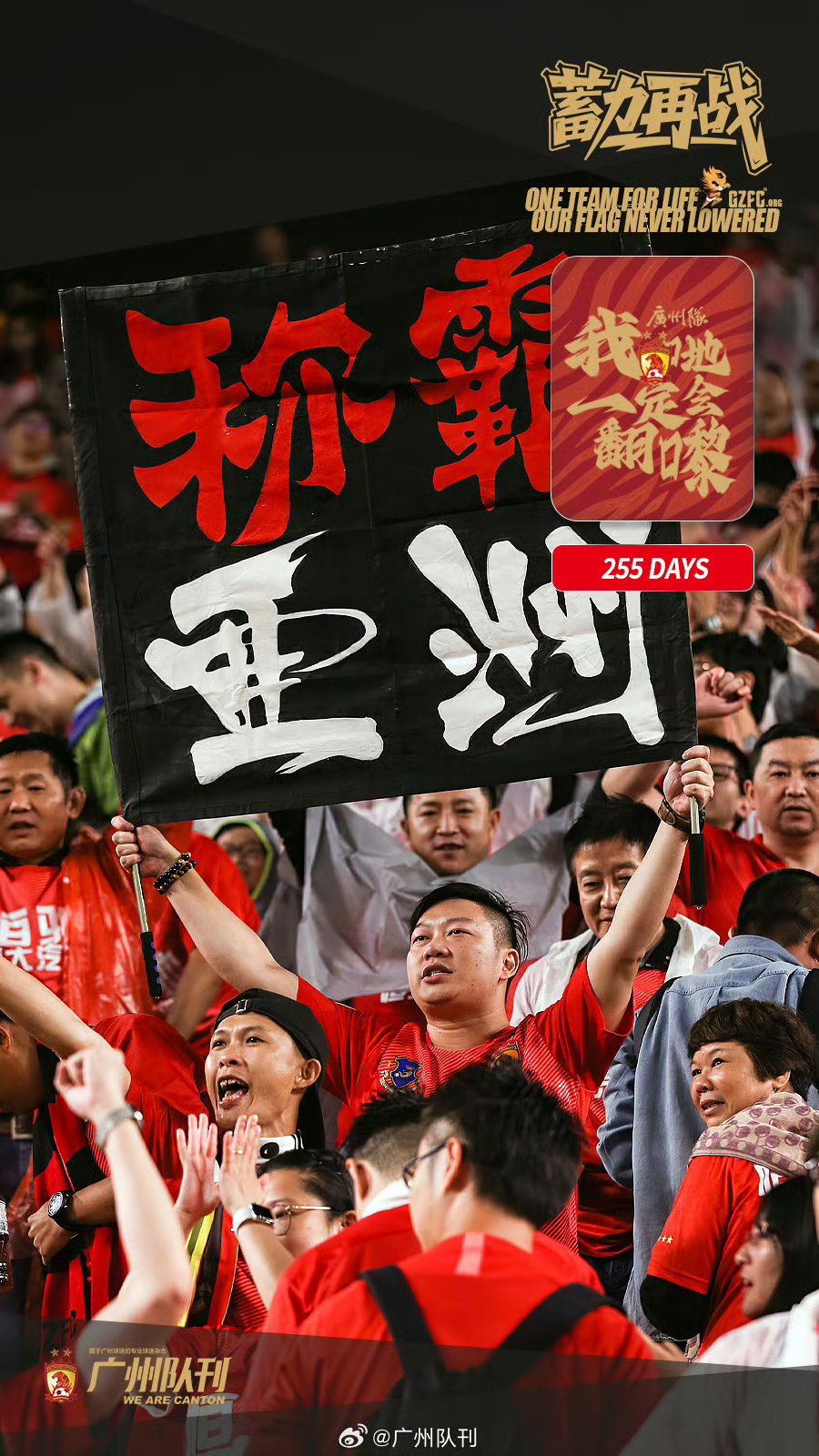 包含上海申花遗憾出局备战亚冠广州队关键时刻止住颓势之后，山东泰山围绕全明星赛手感冰凉的词条